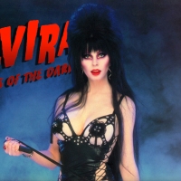 Elvira Halloween Wallpaper #28