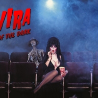 Elvira Halloween Wallpaper #26